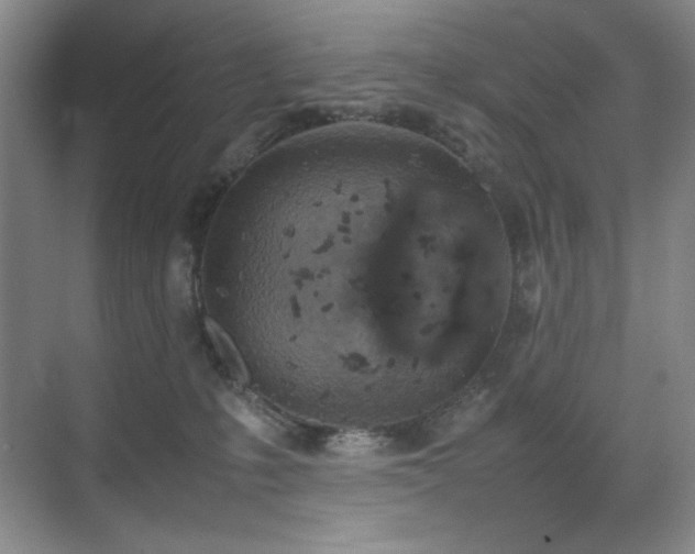 X0000070380231200606091133