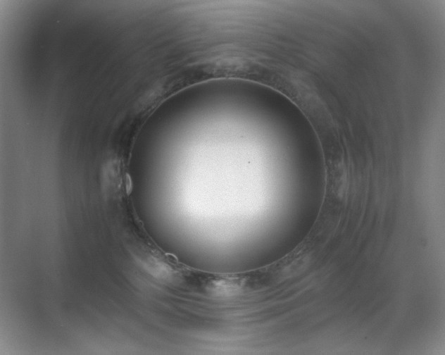 X0000070380232200606091133