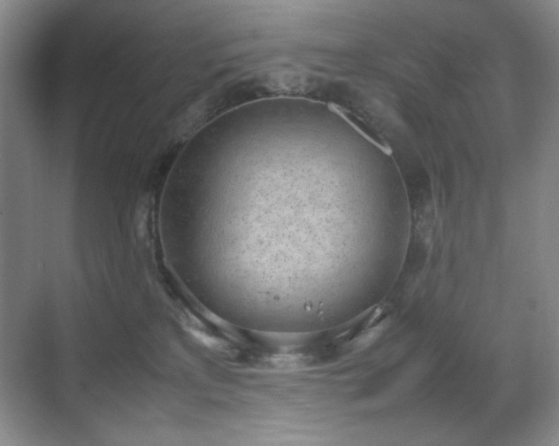 X0000070380233200606091133