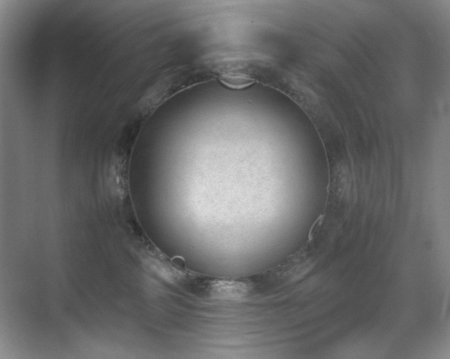 X0000070380234200606091133