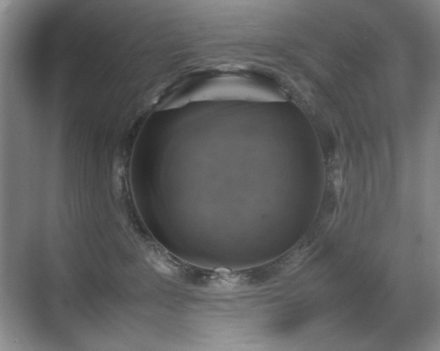 X0000070380235200606091133