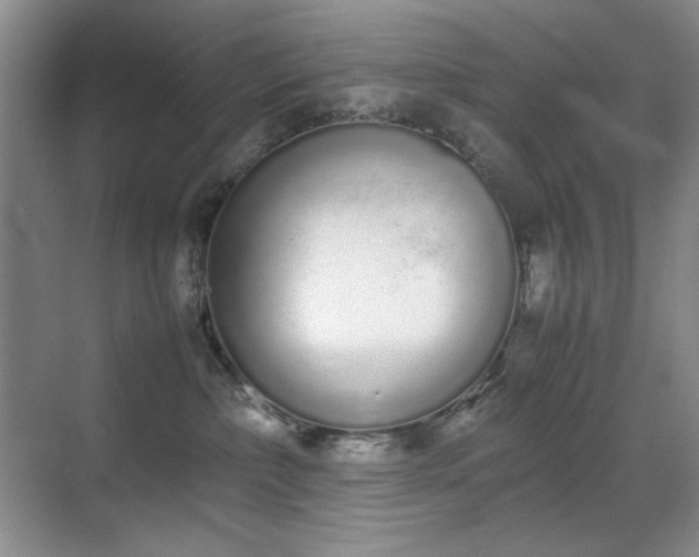 X0000070380236200606091133