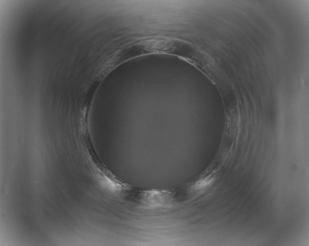 X0000070380239200606091133