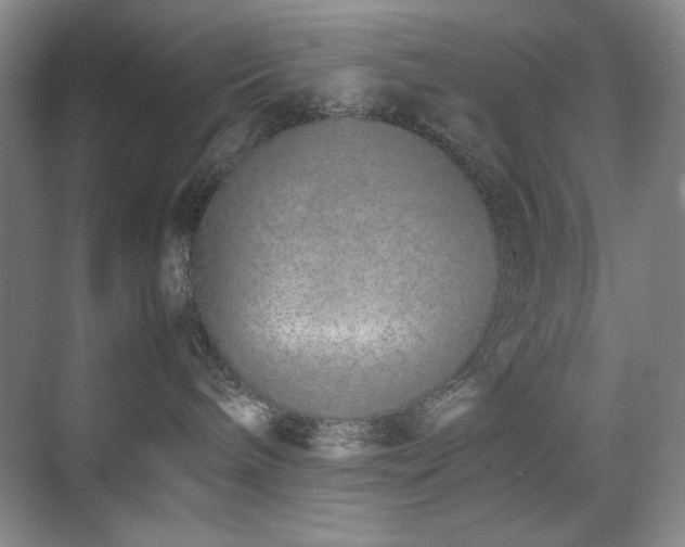 X0000070380240200606091133