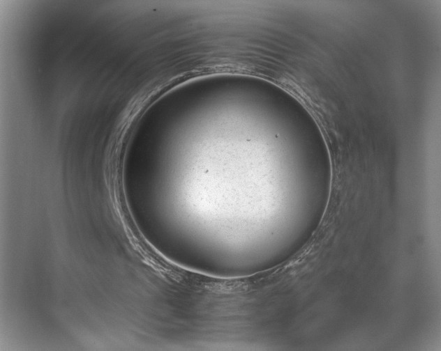 X0000070380241200606091132