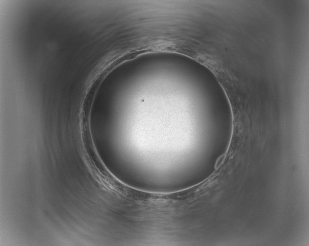 X0000070380242200606091132