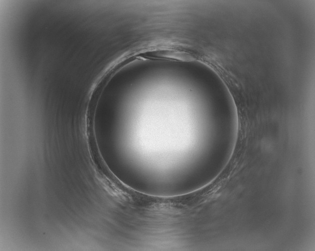 X0000070380244200606091132