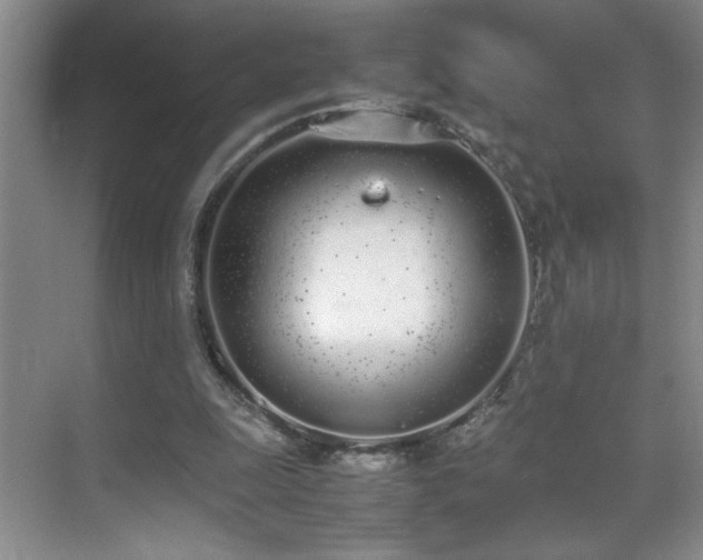 X0000070380247200606091132