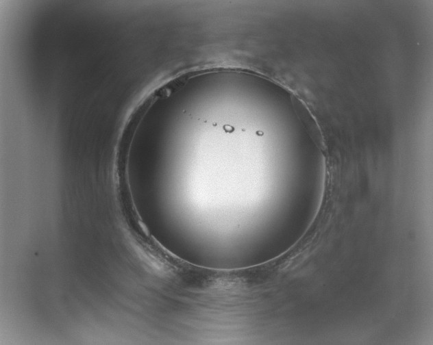 X0000070380248200606091133