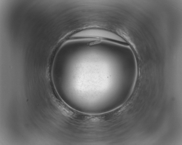 X0000070380249200606091133