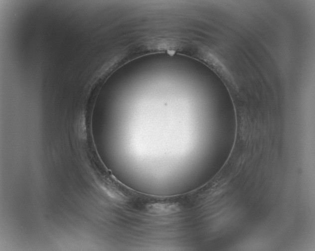 X0000070380251200606091133