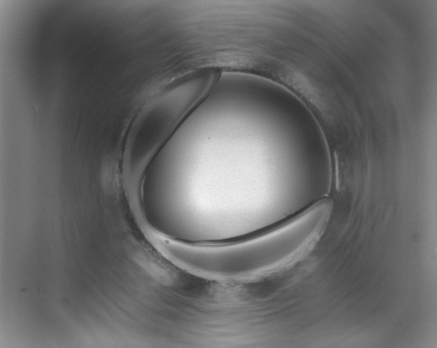 X0000070380252200606091133