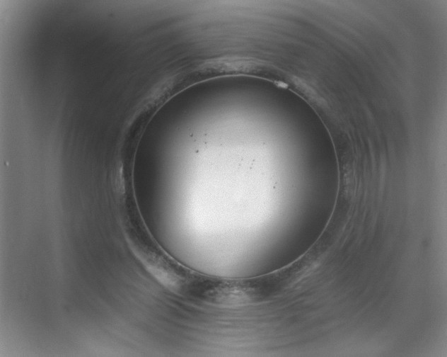 X0000070380254200606091133