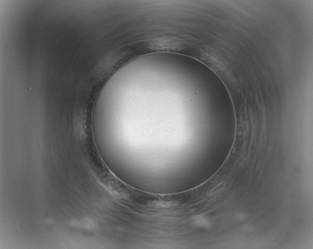 X0000070380255200606091133