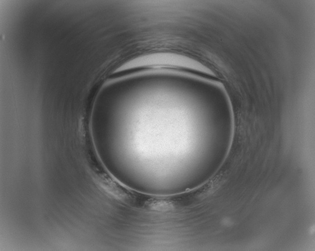 X0000070380258200606091133