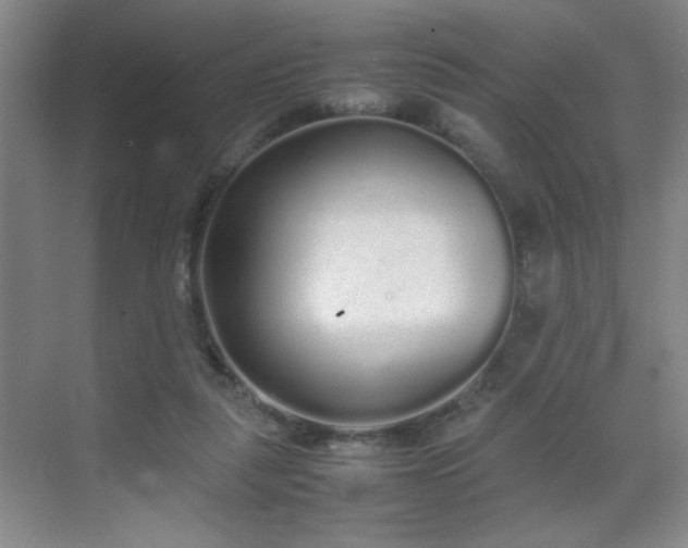 X0000070380259200606091133