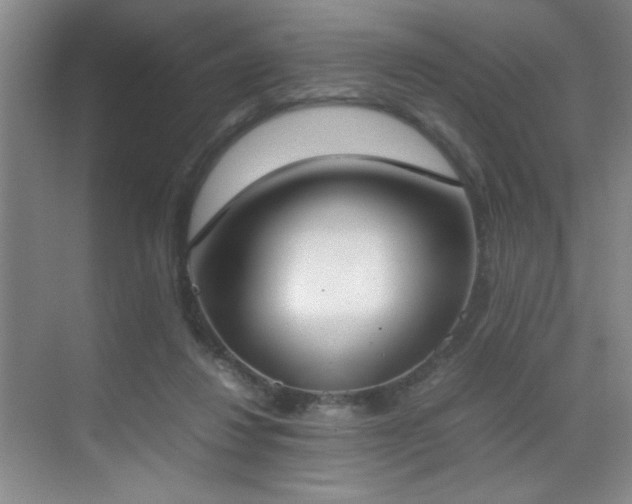 X0000070380260200606091133