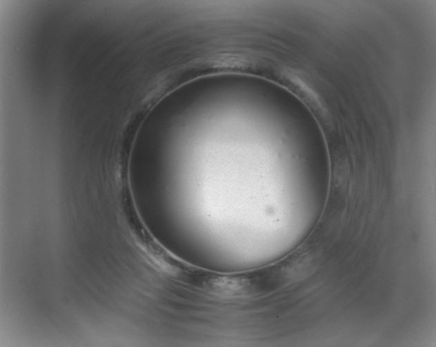 X0000070380261200606091133