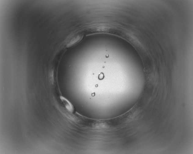 X0000070380262200606091133