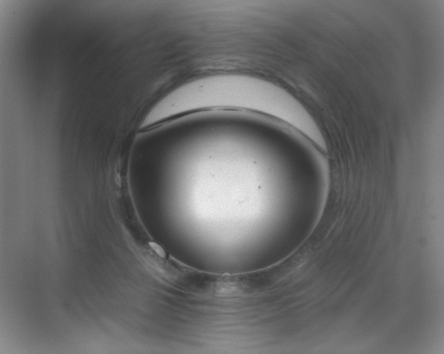 X0000070380264200606091133