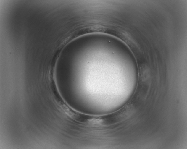 X0000070380266200606091133