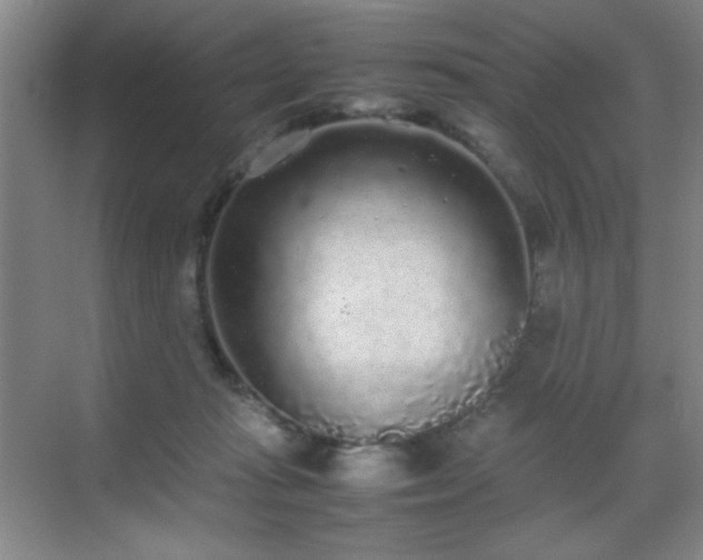 X0000070380269200606091133