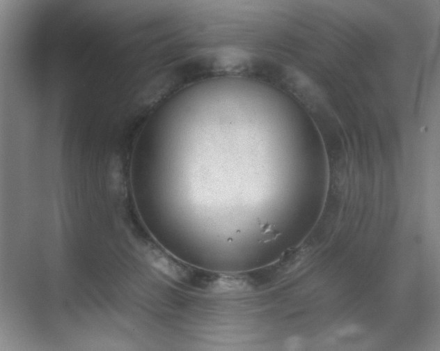 X0000070380270200606091133