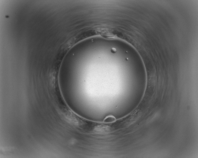 X0000070380271200606091133