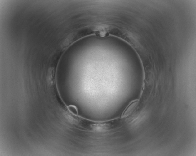 X0000070380273200606091133