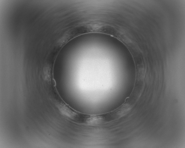 X0000070380274200606091133