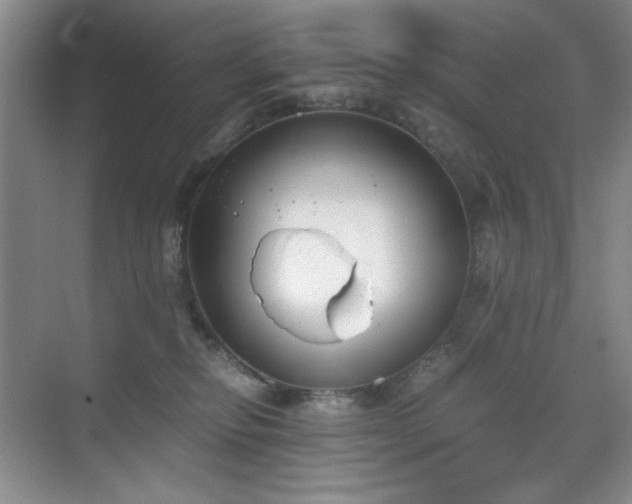 X0000070380278200606091133