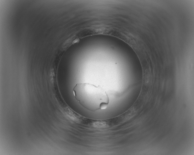 X0000070380279200606091133