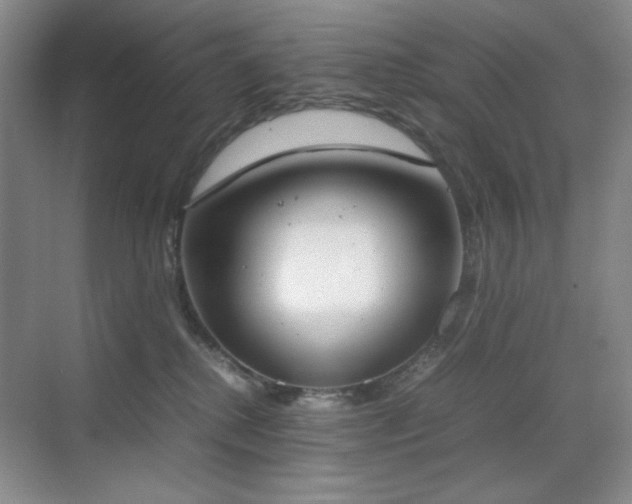 X0000070380280200606091133