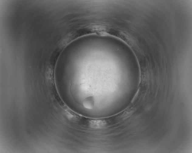 X0000070380281200606091133