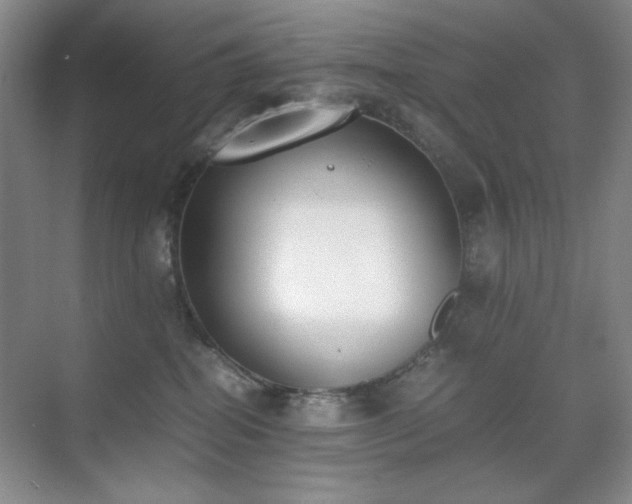 X0000070380282200606091133