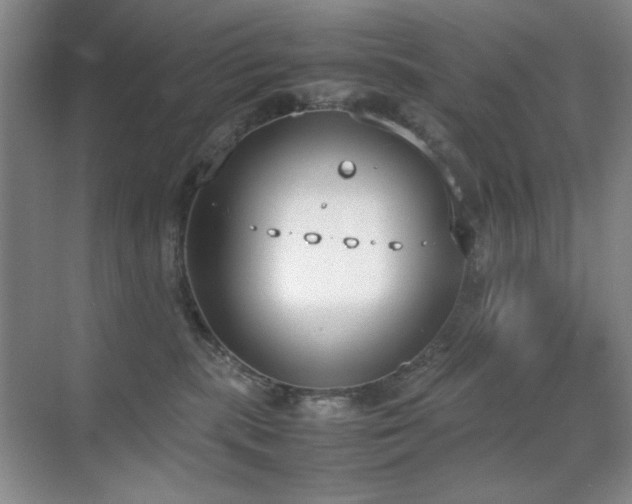 X0000070380283200606091133