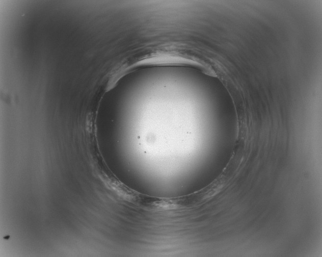 X0000070380284200606091133