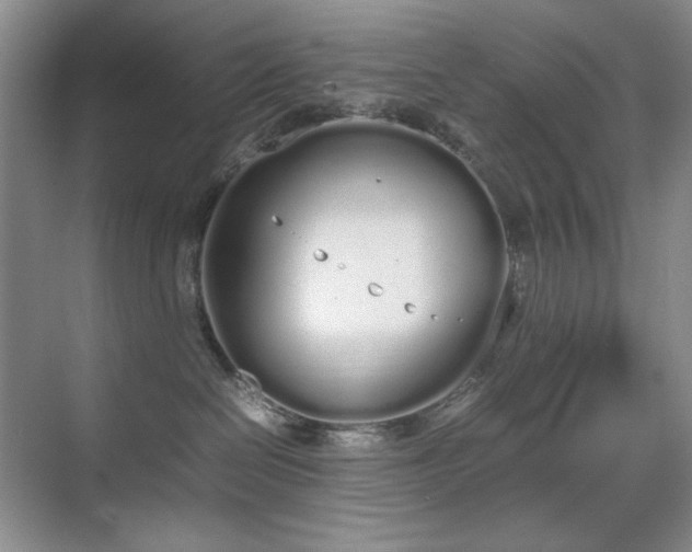 X0000070380286200606091133