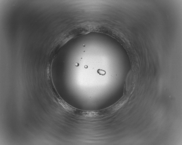 X0000070380288200606091133