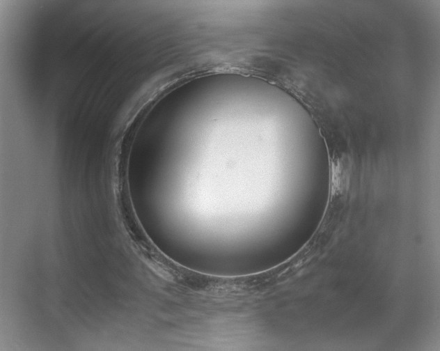 X0000070380291200606091132