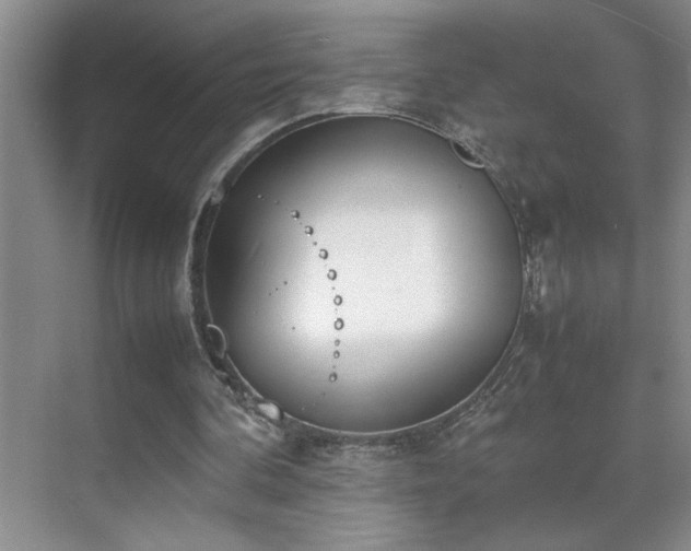 X0000070380292200606091132