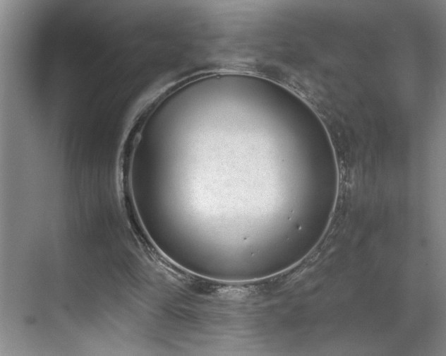 X0000070380294200606091132