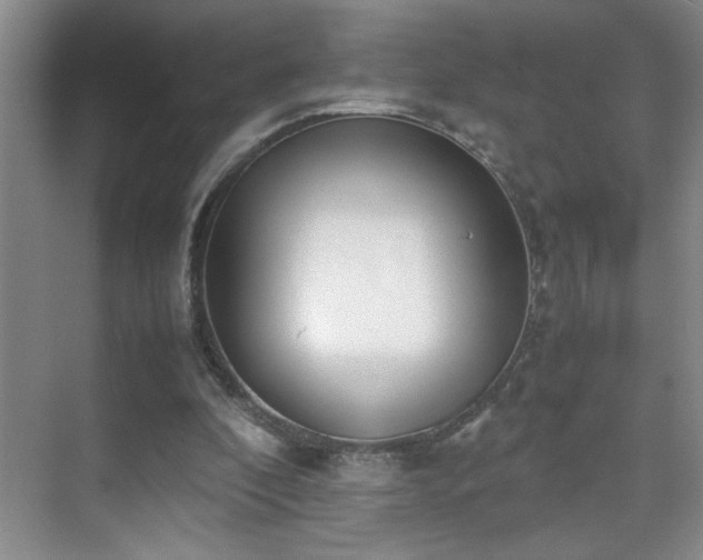 X0000070380296200606091132