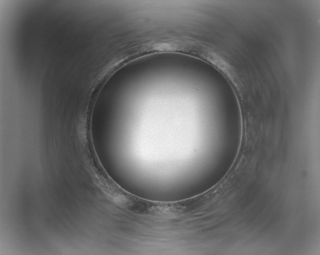 X0000070380297200606091132