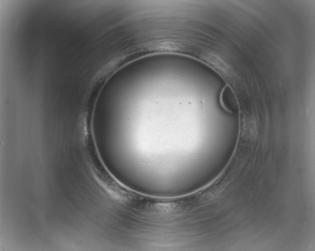 X0000070380302200606091132