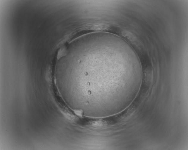 X0000070380303200606091132