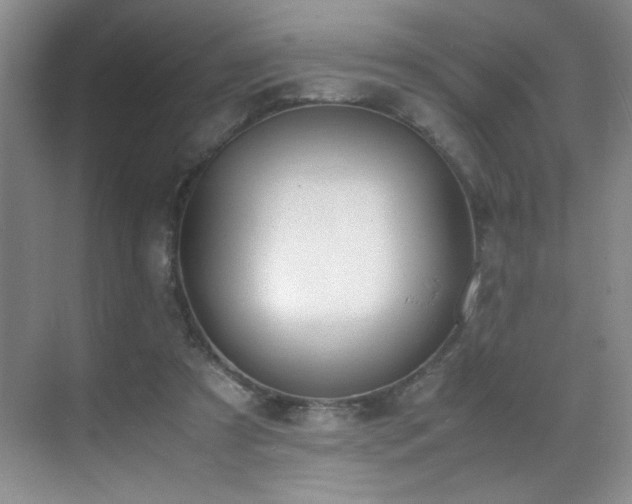 X0000070380305200606091132