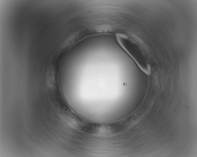 X0000070380308200606091132