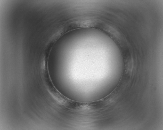 X0000070380310200606091132