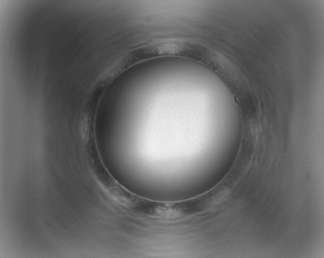 X0000070380311200606091132